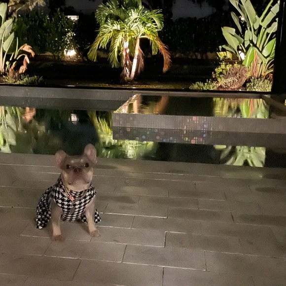 Zealous in all domains - Picture 14 of 16